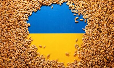 exportacoes-de-graos-da-ucrania-aumentam-ano-a-ano-em-fevereiro