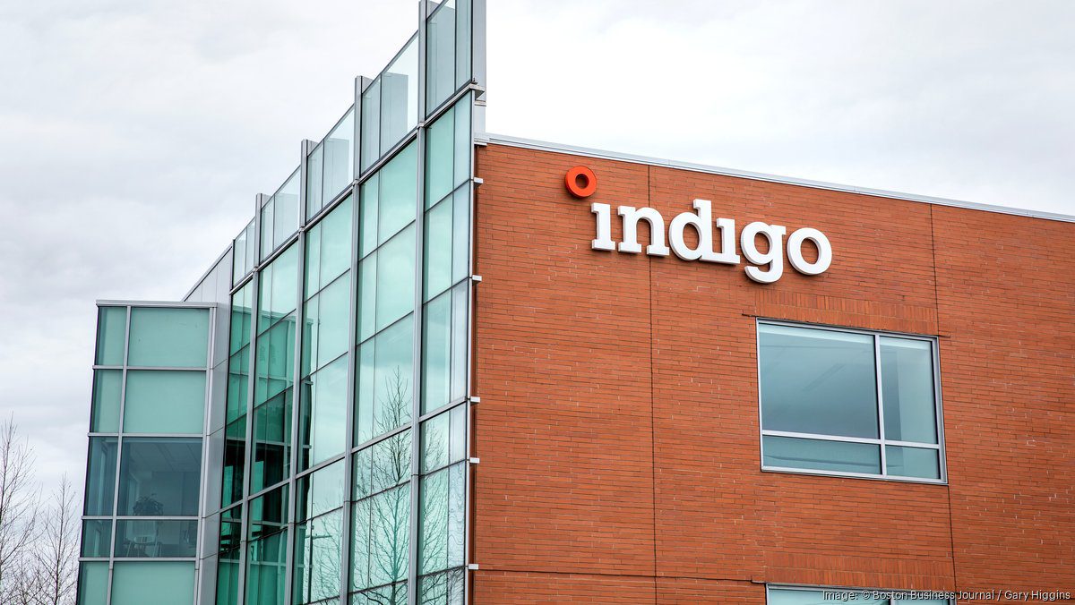 credito-de-carbono:-indigo-ag-anuncia-3a-colheita,-com-recorde