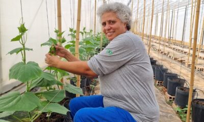 mulheres-na-agricultura:-historias-de-quem-faz-a-diferenca-no-setor