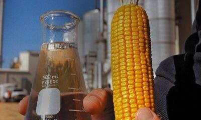 producao-de-etanol-de-milho-sera-discutida-em-1a-conferencia-do-segmento