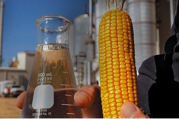 producao-de-etanol-de-milho-sera-discutida-em-1a-conferencia-do-segmento