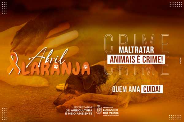 abril-laranja:-prefeitura-inicia-campanha-de-prevencao-ao-abandono-animal