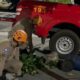 bombeiros-resgatam-porco-espinho-encontrado-em-residencia-em-primavera-do-leste
