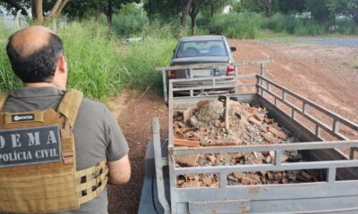 homem-e-preso-por-descarte-irregular-de-entulhos-em-area-da-capital