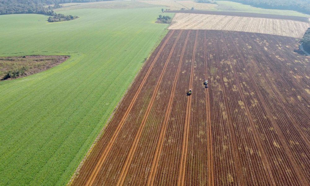 preco-do-hectare-de-terra-para-agricultura-cai-no-parana;-confira