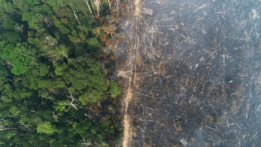 com-mais-de-17-mil-focos,-brasil-registra-recorde-de-queimadas-em-2024