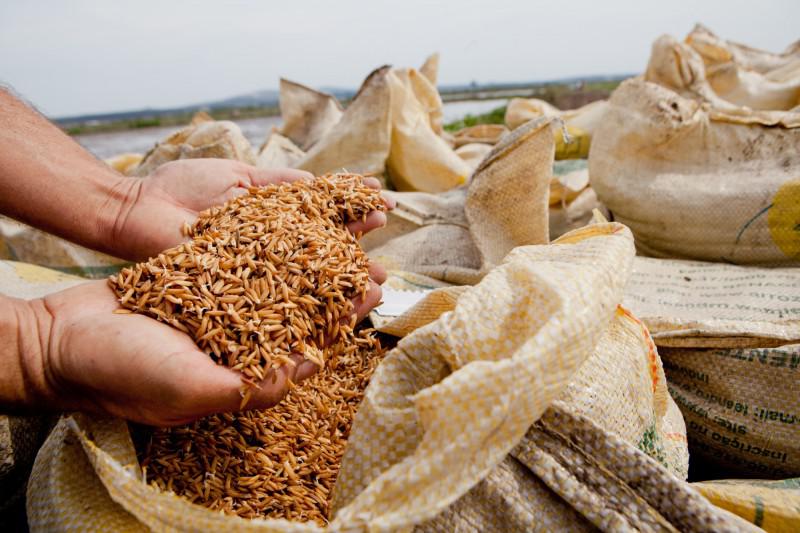 ‘desnecessario-e-intempestivo’,-diz-abiarroz-sobre-importacao-de-arroz-pelo-governo