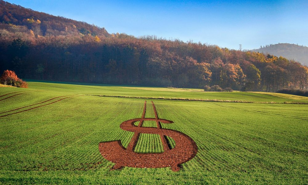pis/cofins:-medida-que-altera-compensacoes-afeta-lucratividade-e-estrangula-exportadores-do-agro