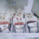 mais-de-380-bolsas-de-sangue-foram-coletadas-no-primeiro-semestre-em-lucas-do-rio-verde