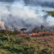 aumento-de-focos;-governo-libera-r$-100-mi-para-combate-a-incendios-no-pantanal
