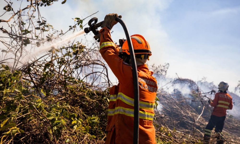 corpo-de-bombeiros-combate-quatro-incendios-florestais-em-mato-grosso-neste-sabado-(06)