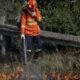 vinte-e-oito-bombeiros-combatem-incendio-na-estrada-de-chapada;-pm-controla-transito-na-regiao