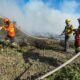 corpo-de-bombeiros-combate-22-incendios-florestais-em-mato-grosso-neste-sabado-(03)