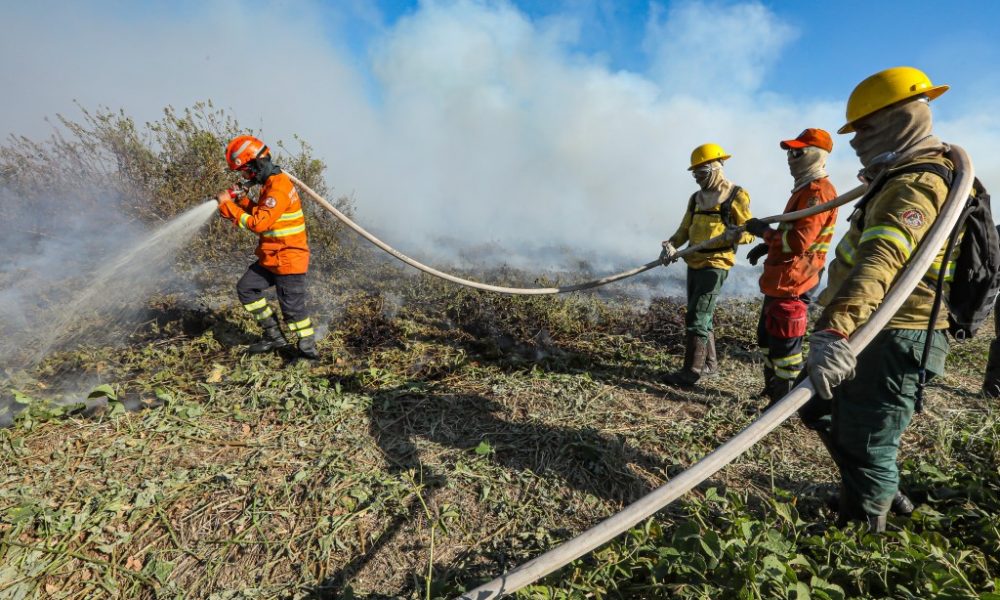 corpo-de-bombeiros-combate-22-incendios-florestais-em-mato-grosso-neste-sabado-(03)