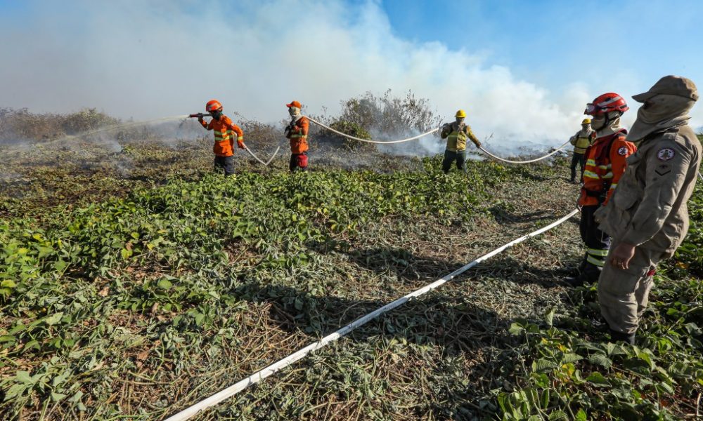 corpo-de-bombeiros-combate-18-incendios-em-mato-grosso-nesta-quarta-feira-(07)