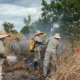 incendio-atinge-area-de-conservacao-no-pantanal-de-mt