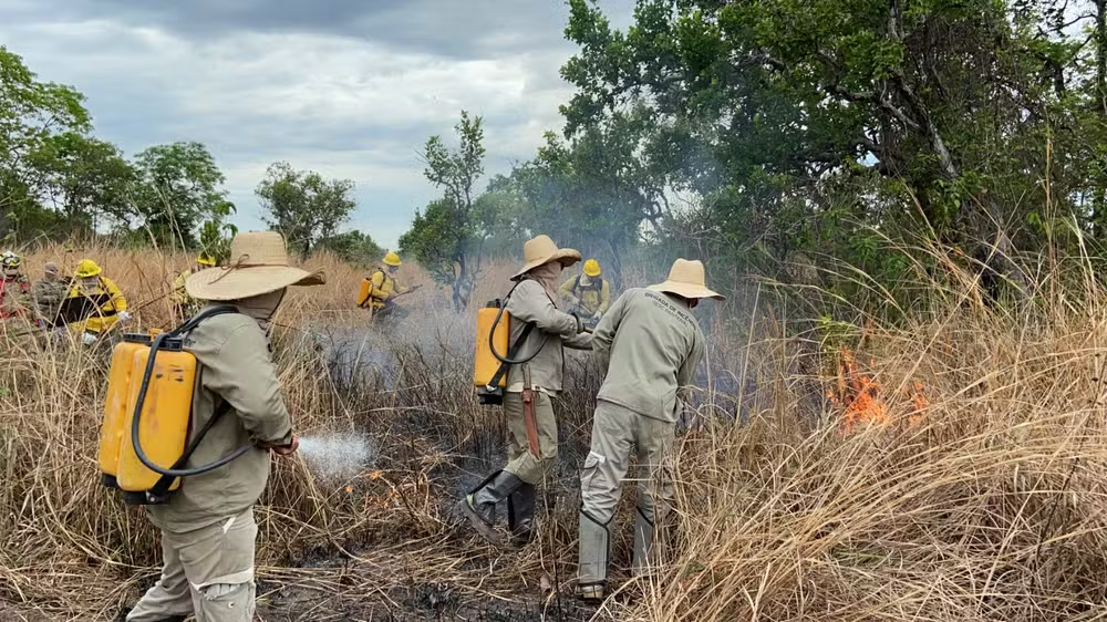 incendio-atinge-area-de-conservacao-no-pantanal-de-mt