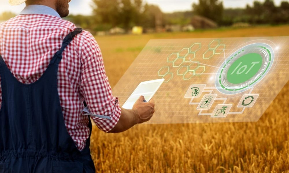 agricultores-de-ms-recebem-apoio-digital-para-modernizar-a-producao-rural