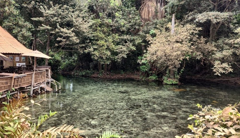 sema-analisara-qualidade-da-agua-dentro-do-balneario-estivado;-rio-nas-proximidades-esta-improprio