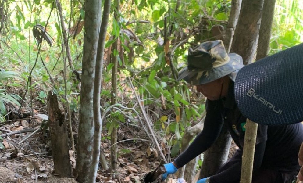 mulher-envolvida-em-homicidio-e-ocultacao-de-cadaver-em-juina-e-presa-pela-policia-civil