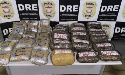 policia-civil-apreende-carga-de-supermaconha-avaliada-em-r$-500-mil