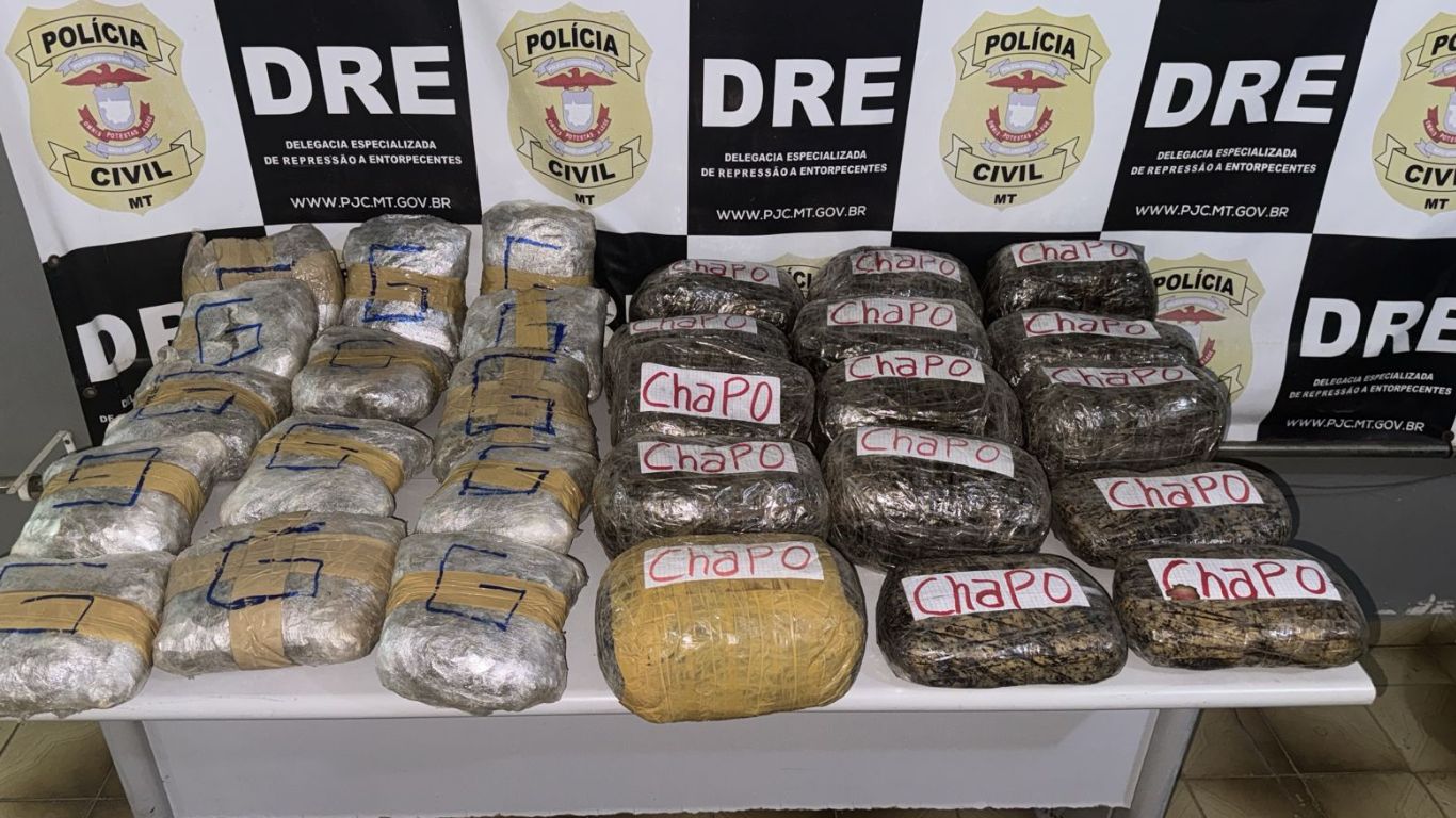 policia-civil-apreende-carga-de-supermaconha-avaliada-em-r$-500-mil