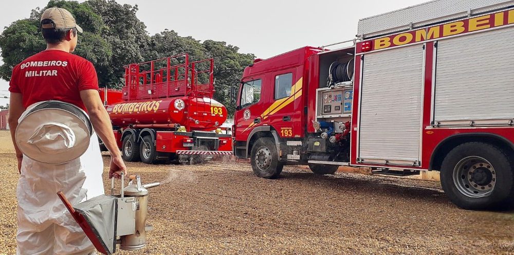 corpo-de-bombeiros-alerta-sobre-ataques-de-abelhas-no-periodo-de-reproducao
