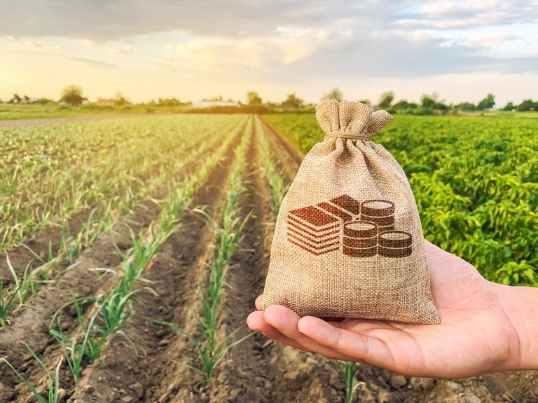 mercado-de-fiagro-cresceu-153%-em-12-meses-e-3,7%-de-marco-a-junho,-diz-cvm