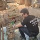 policia-investiga-25-denuncias-de-maus-tratos-de-animais-em-cuiaba-e-varzea-grande