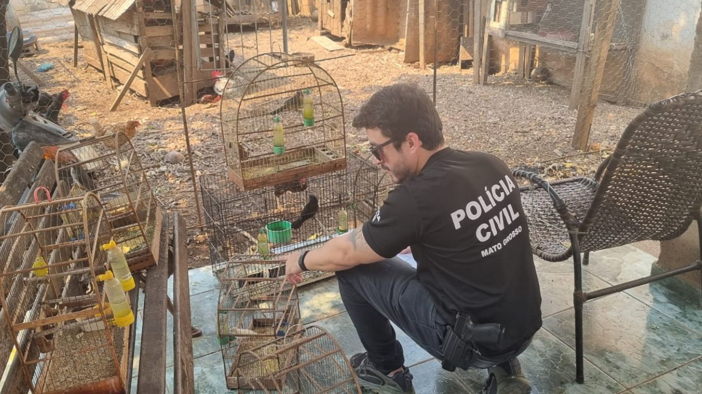 policia-investiga-25-denuncias-de-maus-tratos-de-animais-em-cuiaba-e-varzea-grande