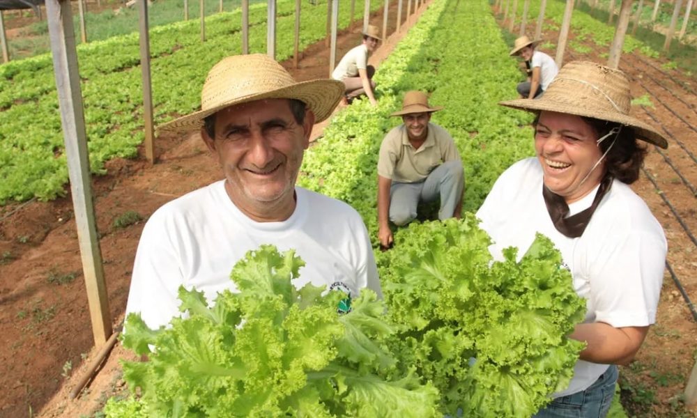 seguro-desemprego-para-agricultor-prejudicado-por-entressafra-e-aprovado