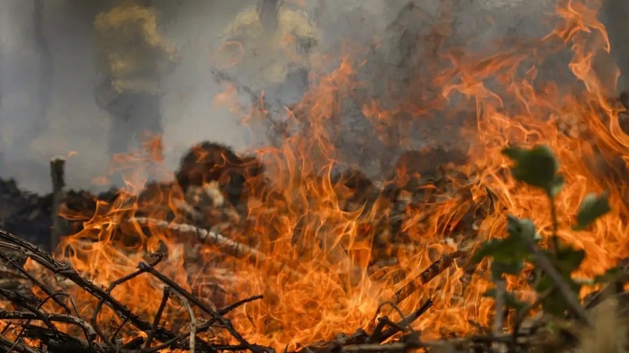 incendios-atingiram-mais-de-8-mil-propriedades-rurais-em-317-municipios-de-sp