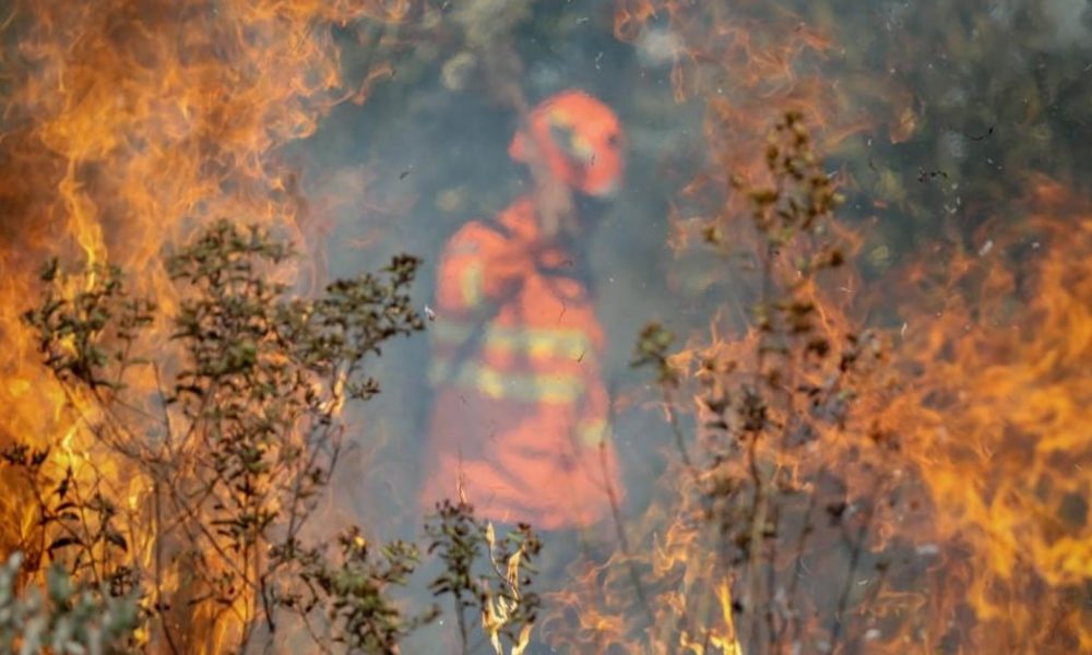 governo-de-mt-decreta-situacao-de-emergencia-por-180-dias