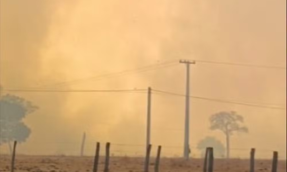 trabalhadores-sao-resgatados-em-meio-a-incendio-florestal-em-fazenda-de-mt;-video