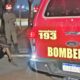 corpo-de-bombeiros-militar-detem-homem-que-causou-incendio-em-sinop