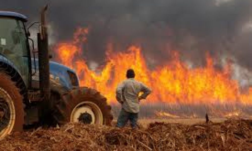 mapa-vai-lancar-medida-para-recuperacao-de-lavouras-afetadas-por-incendios