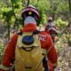 corpo-de-bombeiros-combate-54-incendios-florestais-em-mato-grosso-neste-sabado-(14)