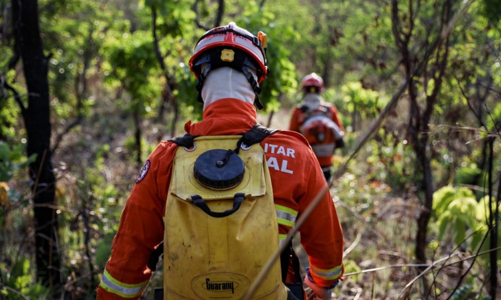 corpo-de-bombeiros-combate-54-incendios-florestais-em-mato-grosso-neste-sabado-(14)