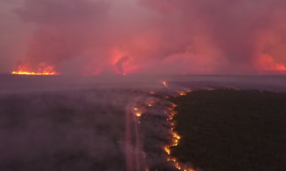 mais-de-100-pessoas-sao-indiciadas-por-causar-incendios-florestais-neste-ano-em-mt