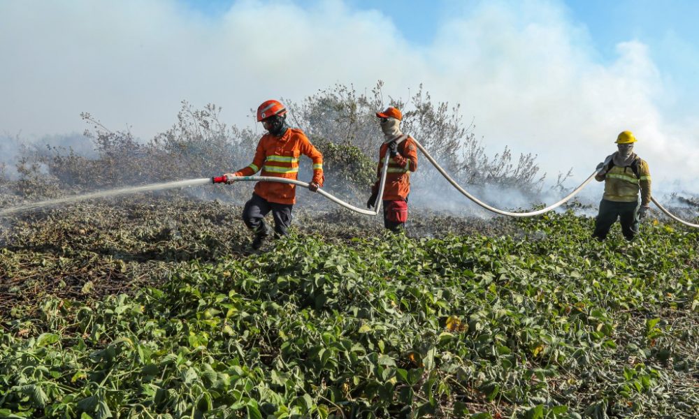 corpo-de-bombeiros-combate-34-incendios-florestais-nesta-sexta-feira-(20)
