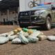 gefron-apreende-59-quilos-de-entorpecentes-e-causa-prejuizo-ao-crime-de-r$-741-mil