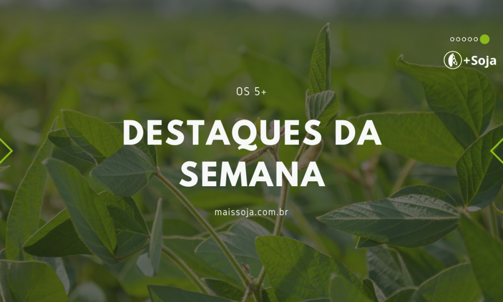 destaques-da-semana-mais-soja-–-mais-soja