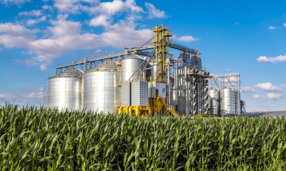 fgv-agro-aponta-crescimento-de-3,3%-nos-sete-primeiros-meses-de-2024