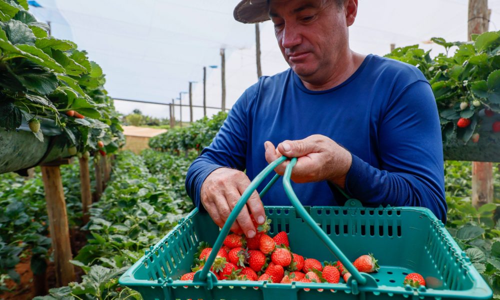 prazo-para-produtor-declarar-itr-termina-nesta-segunda-feira