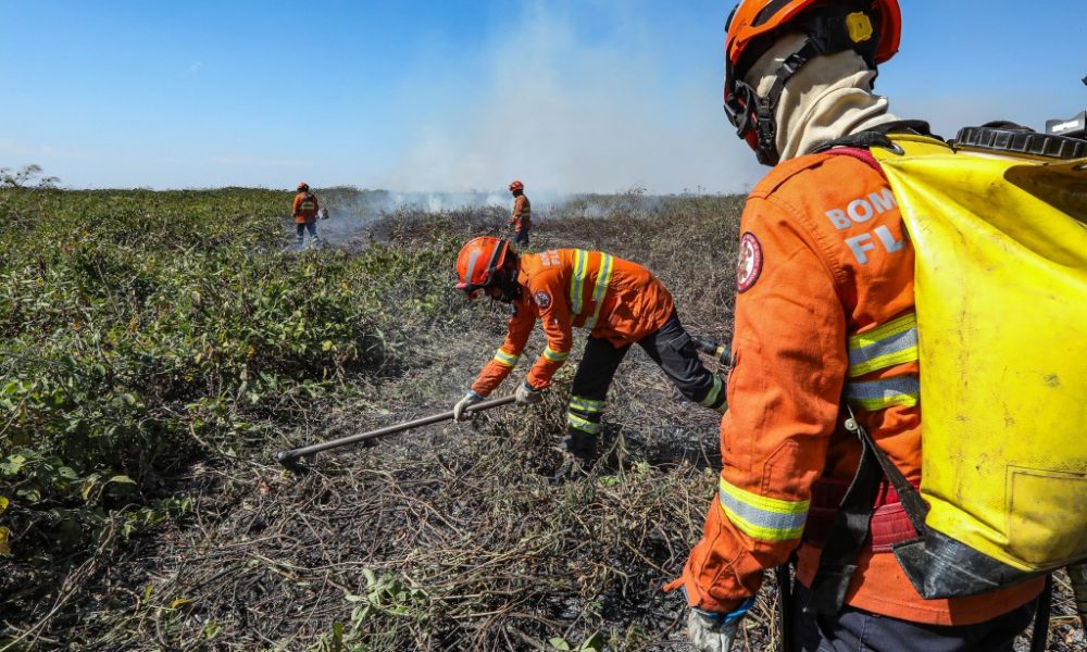 corpo-de-bombeiros-combate-25-incendios-florestais-em-mato-grosso-nesta-quinta-feira-(03)