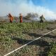 corpo-de-bombeiros-combate-24-incendios-florestais-em-mato-grosso-neste-sabado-(05)