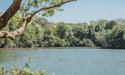 periodo-proibitivo-de-pesca-ja-iniciou-em-mato-grosso