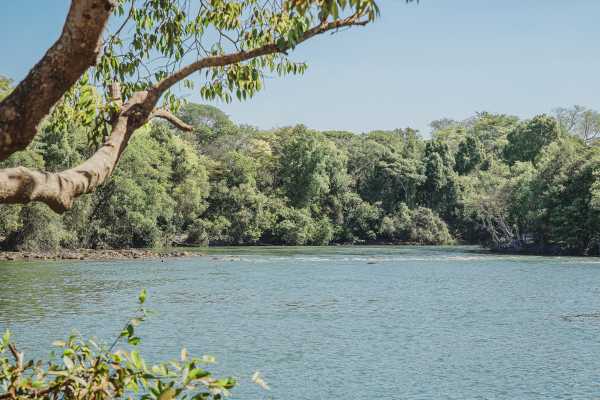 periodo-proibitivo-de-pesca-ja-iniciou-em-mato-grosso