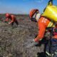 corpo-de-bombeiros-combate-25-incendios-florestais-em-mato-grosso-nesta-quarta-feira-(09)