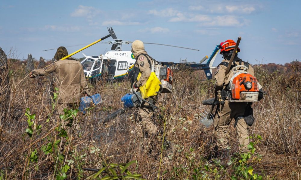 corpo-de-bombeiros-combate-21-incendios-florestais-no-estado-nesta-quinta-feira-(10)